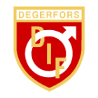 Degerfors IF